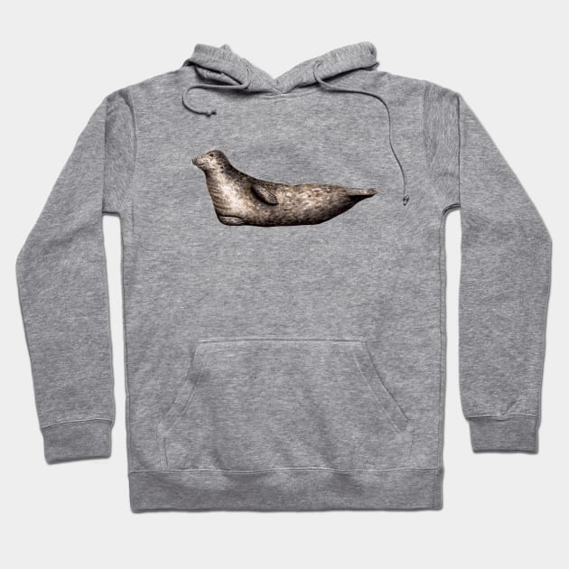 Grey seals Hoodie by chloeyzoard